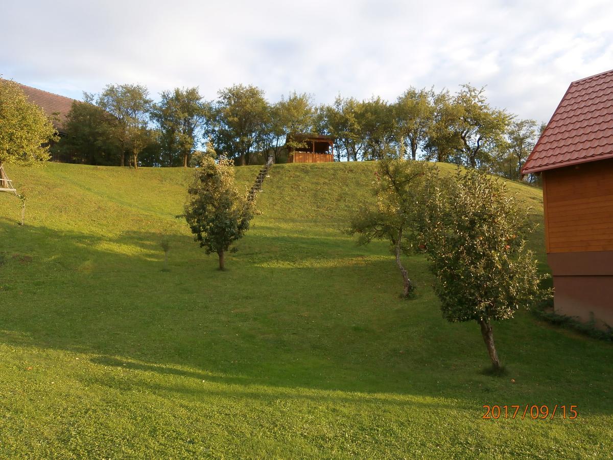 Zrubovy Dom Silvia Villa Trstene Exterior photo